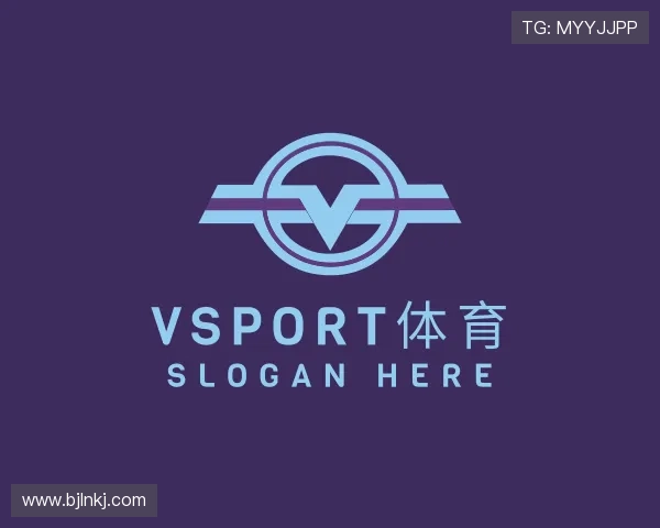 关于VSport
