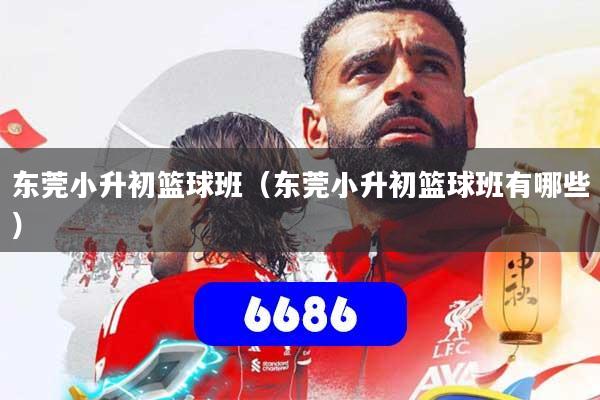 东莞小升初篮球班(东莞小升初篮球班有哪些)