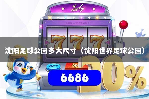 沈阳足球公园多大尺寸(沈阳世界足球公园)