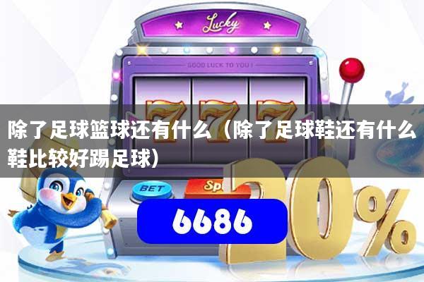 除了足球篮球还有什么（除了足球鞋还有什么鞋比较好踢足球）