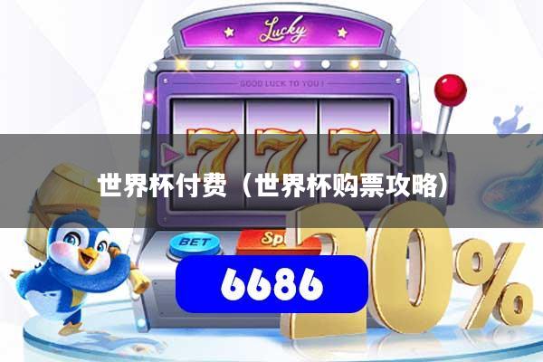 世界杯付费（世界杯购票攻略）